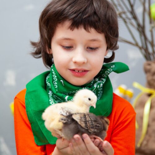 Feeling Disconnected? How a 5-Day Loving-Kindness Meditation Can Reopen Your Heart