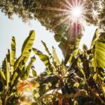 How to Boost Energy Naturally: 8 Science-Backed Methods