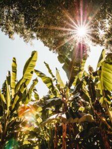 Read more about the article How to Boost Energy Naturally: 8 Science-Backed Methods
