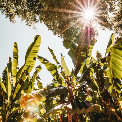 How to Boost Energy Naturally: 8 Science-Backed Methods