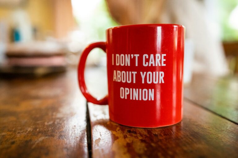 red I don't care about your opinion text mug on table