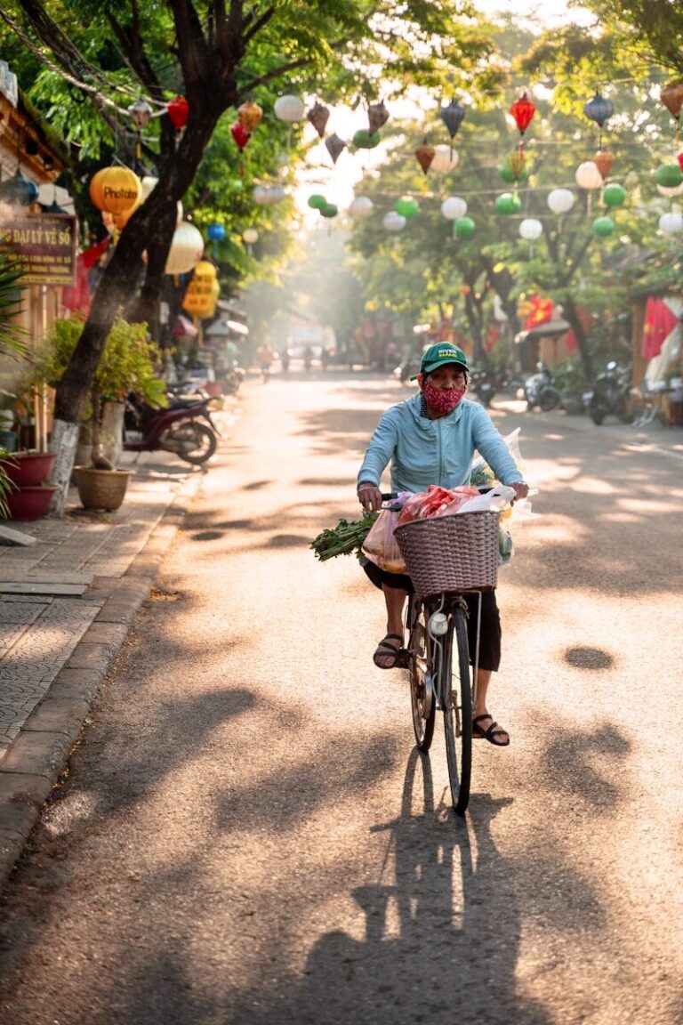 A person rides a bicycle down a tree-lined street.