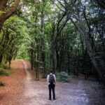 How to Make Decisions Faster: 8 Science-Backed Strategies