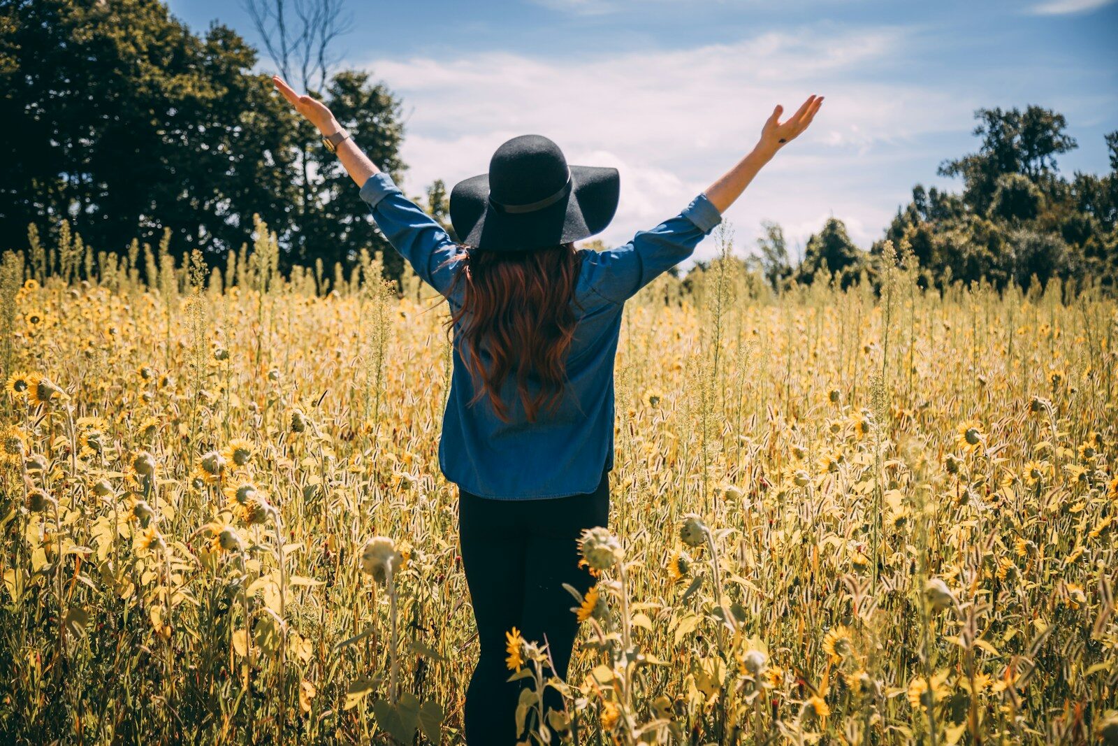 You are currently viewing Your Brain Is Wired to Notice the Bad: Here Is How Gratitude Trains It to See the Good