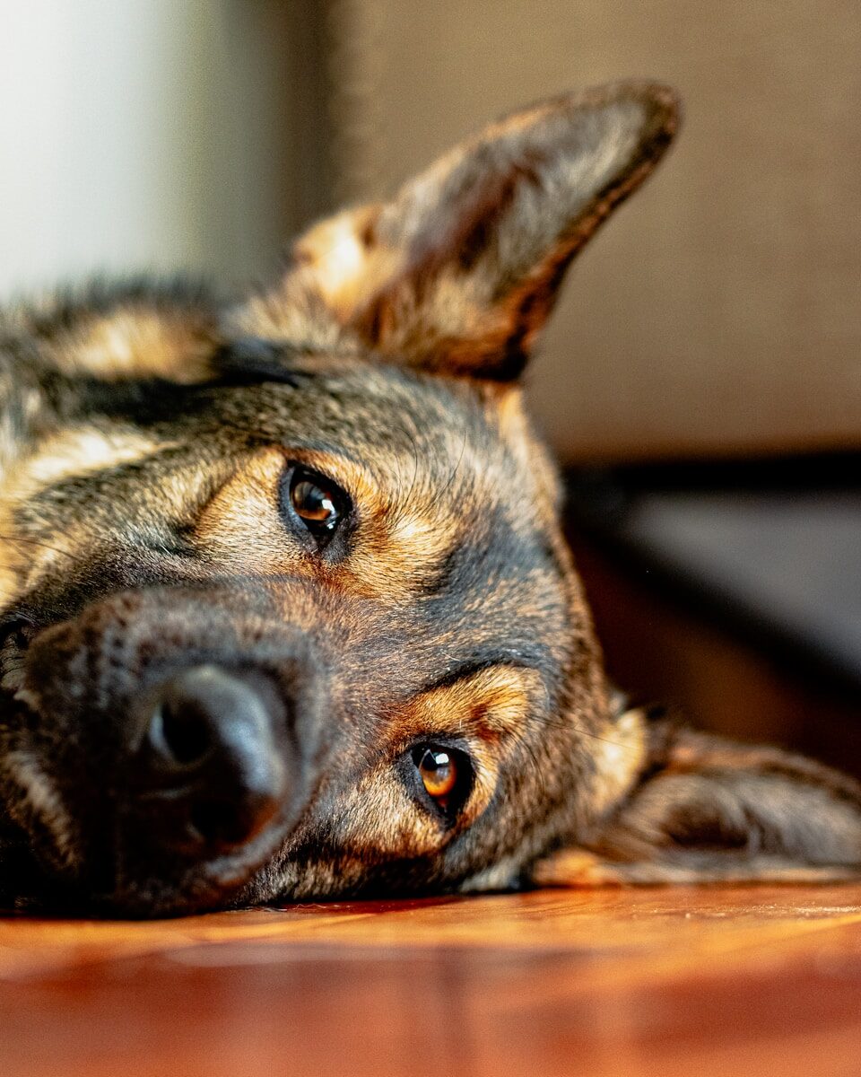 You are currently viewing Why Do I Feel Unmotivated All the Time? Science Explained