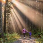  The Science of Sunlight, Nature, and Happiness