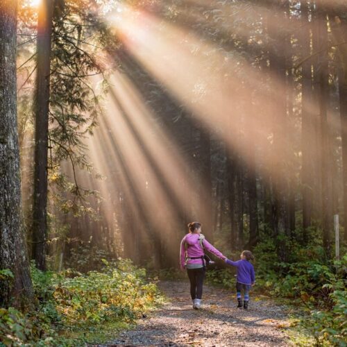  The Science of Sunlight, Nature, and Happiness