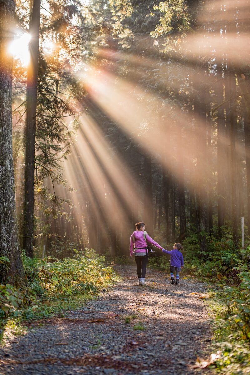 You are currently viewing  The Science of Sunlight, Nature, and Happiness