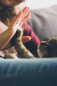 Read more about the article Helping Others Is One of the Most Selfish Things You Can Do: The Neuroscience of Kindness