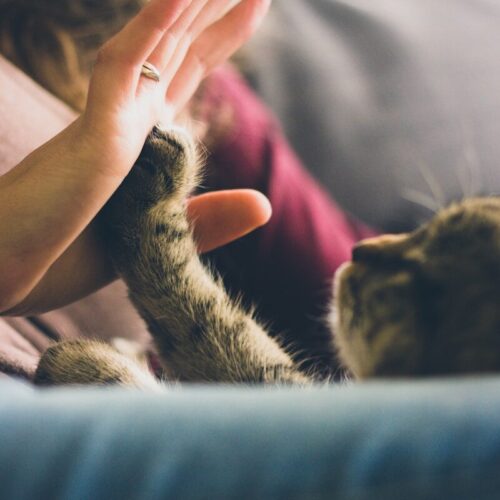 Helping Others Is One of the Most Selfish Things You Can Do: The Neuroscience of Kindness