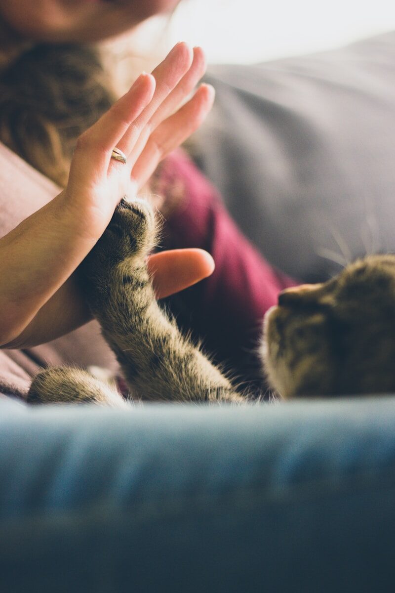 You are currently viewing Helping Others Is One of the Most Selfish Things You Can Do: The Neuroscience of Kindness